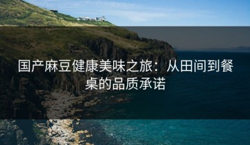 国产麻豆健康美味之旅：从田间到餐桌的品质承诺