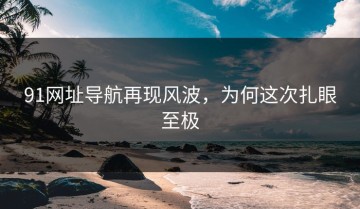 91网址导航再现风波，为何这次扎眼至极