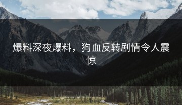 爆料深夜爆料，狗血反转剧情令人震惊