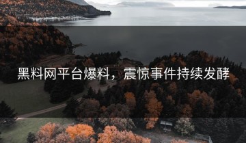黑料网平台爆料，震惊事件持续发酵
