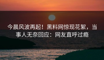 今晨风波再起！黑料网惊现花絮，当事人无奈回应：网友直呼过瘾