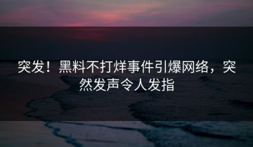 突发！黑料不打烊事件引爆网络，突然发声令人发指