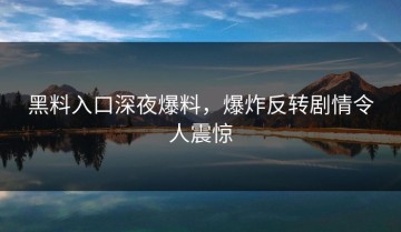 黑料入口深夜爆料，爆炸反转剧情令人震惊