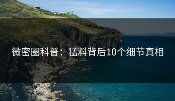 微密圈科普：猛料背后10个细节真相