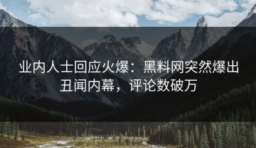 业内人士回应火爆：黑料网突然爆出丑闻内幕，评论数破万