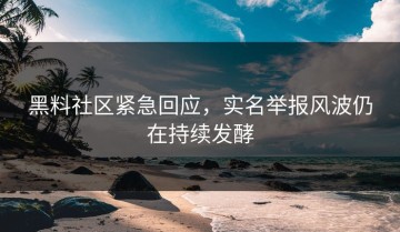 黑料社区紧急回应，实名举报风波仍在持续发酵
