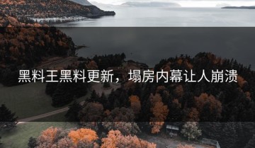 黑料王黑料更新，塌房内幕让人崩溃
