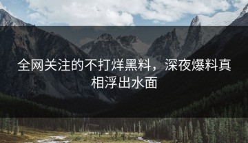 全网关注的不打烊黑料，深夜爆料真相浮出水面