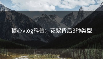 糖心vlog科普：花絮背后3种类型