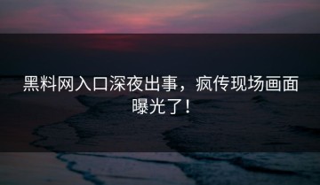 黑料网入口深夜出事，疯传现场画面曝光了！
