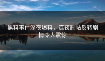 黑料事件深夜爆料，连夜删帖反转剧情令人震惊