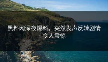 黑料网深夜爆料，突然发声反转剧情令人震惊