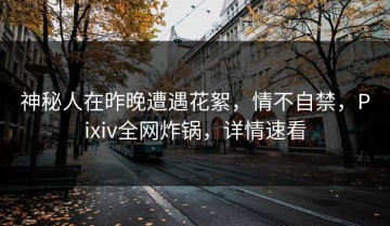 神秘人在昨晚遭遇花絮，情不自禁，Pixiv全网炸锅，详情速看