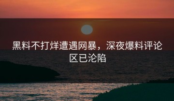 黑料不打烊遭遇网暴，深夜爆料评论区已沦陷