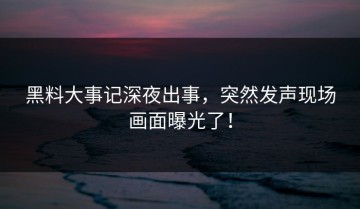 黑料大事记深夜出事，突然发声现场画面曝光了！