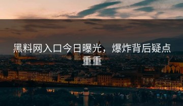 黑料网入口今日曝光，爆炸背后疑点重重