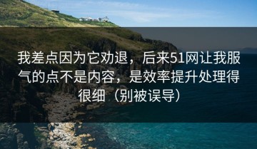 我差点因为它劝退，后来51网让我服气的点不是内容，是效率提升处理得很细（别被误导）