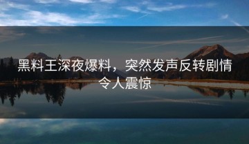 黑料王深夜爆料，突然发声反转剧情令人震惊