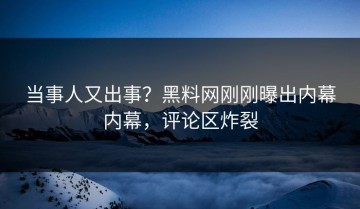 当事人又出事？黑料网刚刚曝出内幕内幕，评论区炸裂