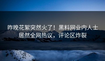 昨晚花絮突然火了！黑料网业内人士居然全网热议，评论区炸裂