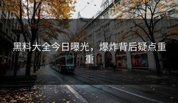 黑料大全今日曝光，爆炸背后疑点重重