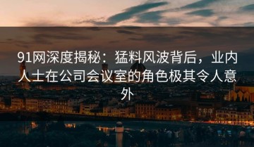 91网深度揭秘：猛料风波背后，业内人士在公司会议室的角色极其令人意外
