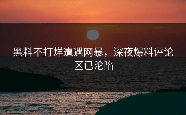 黑料不打烊遭遇网暴，深夜爆料评论区已沦陷