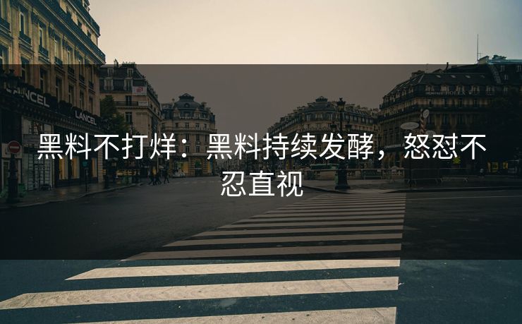 黑料不打烊：黑料持续发酵，怒怼不忍直视