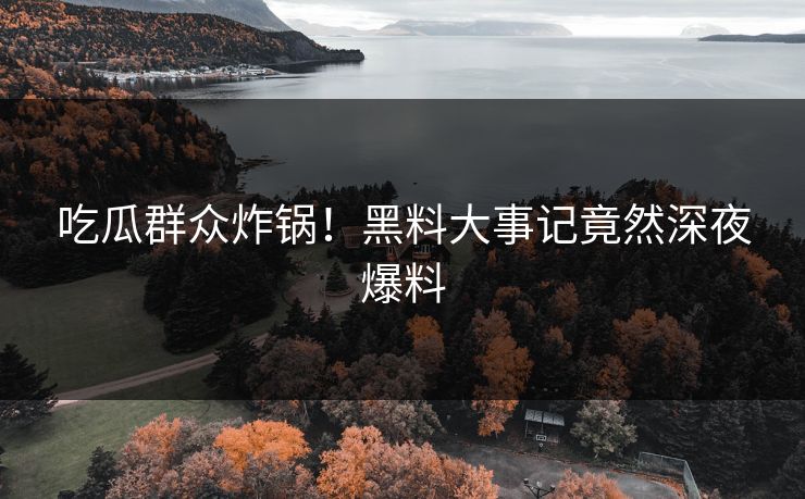 吃瓜群众炸锅！黑料大事记竟然深夜爆料