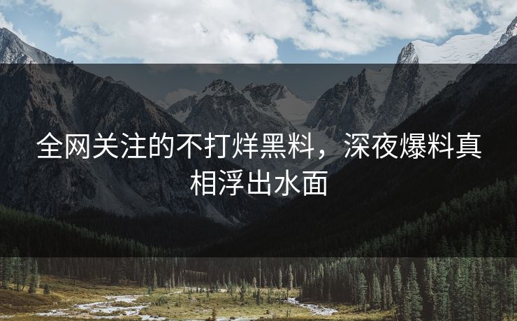 全网关注的不打烊黑料，深夜爆料真相浮出水面