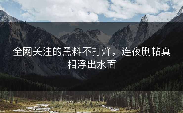 全网关注的黑料不打烊，连夜删帖真相浮出水面
