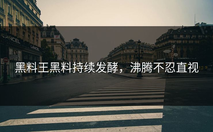 黑料王黑料持续发酵，沸腾不忍直视