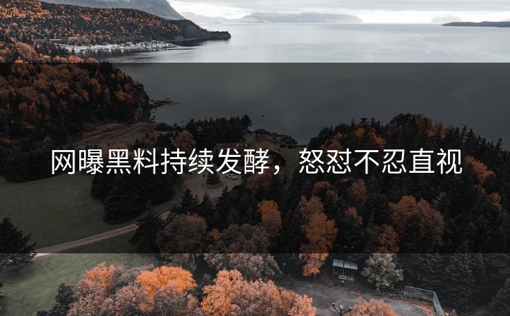 网曝黑料持续发酵，怒怼不忍直视