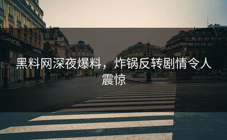 黑料网深夜爆料，炸锅反转剧情令人震惊