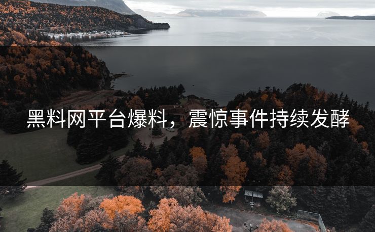 黑料网平台爆料，震惊事件持续发酵