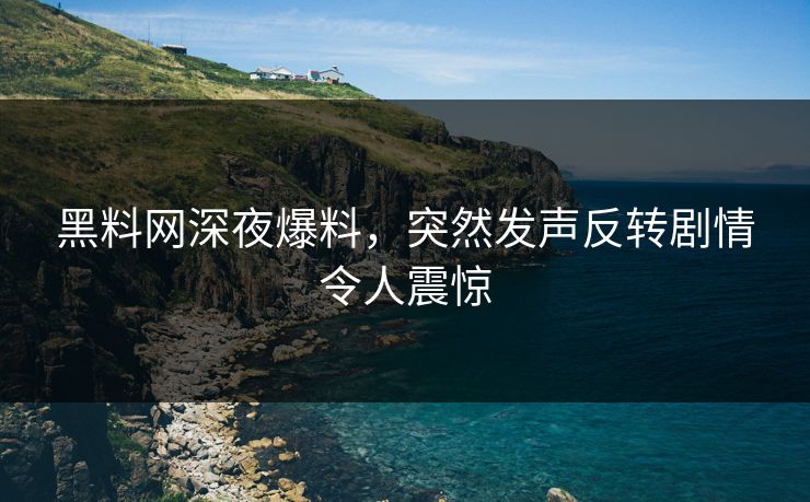 黑料网深夜爆料，突然发声反转剧情令人震惊