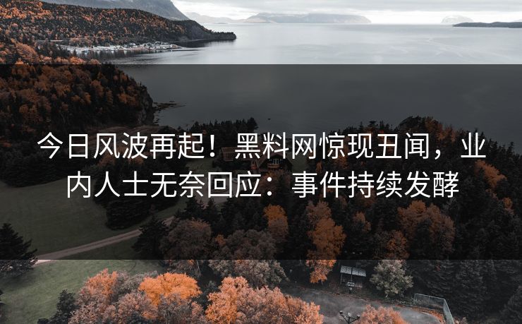 今日风波再起！黑料网惊现丑闻，业内人士无奈回应：事件持续发酵