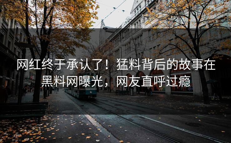 网红终于承认了！猛料背后的故事在黑料网曝光，网友直呼过瘾