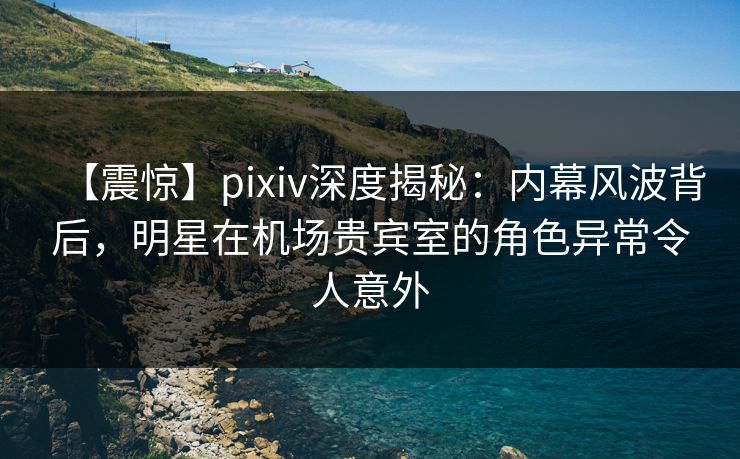 【震惊】pixiv深度揭秘：内幕风波背后，明星在机场贵宾室的角色异常令人意外